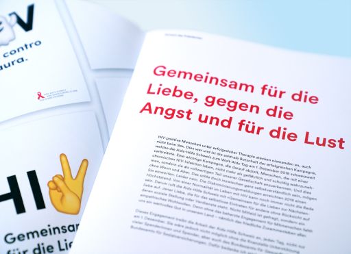 AHS doku jahresbericht 4