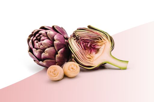 Branding Sunny Side 03