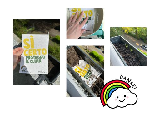 Greenpeace schweiz 2023 klimaschutz kampagne flyer pflanzen FIVE AG Full Service Werbeagentur in St Gallen und Zuerich 1