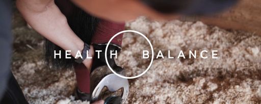 HBT Imagefilm Header2